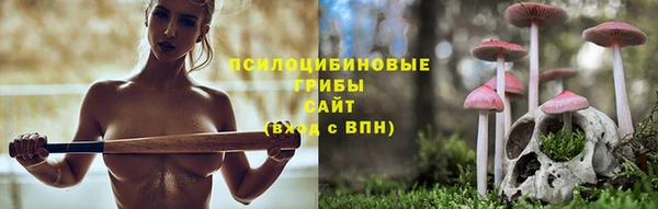 спиды Бугульма