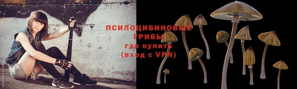кокаин Бородино