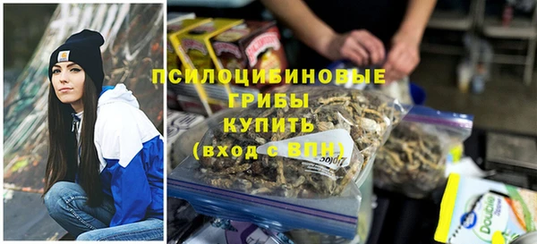 a pvp Липки
