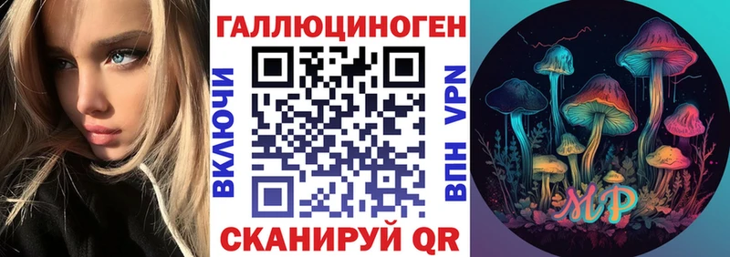 Псилоцибиновые грибы GOLDEN TEACHER  Каменногорск 